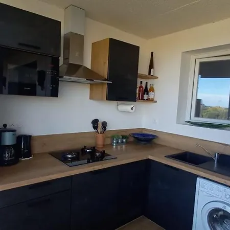 T3 Vue Sur Mer, Renove A Neuf, 4 A 6 Pers,65 M2-500 M De La * ארגלס-סור-מר