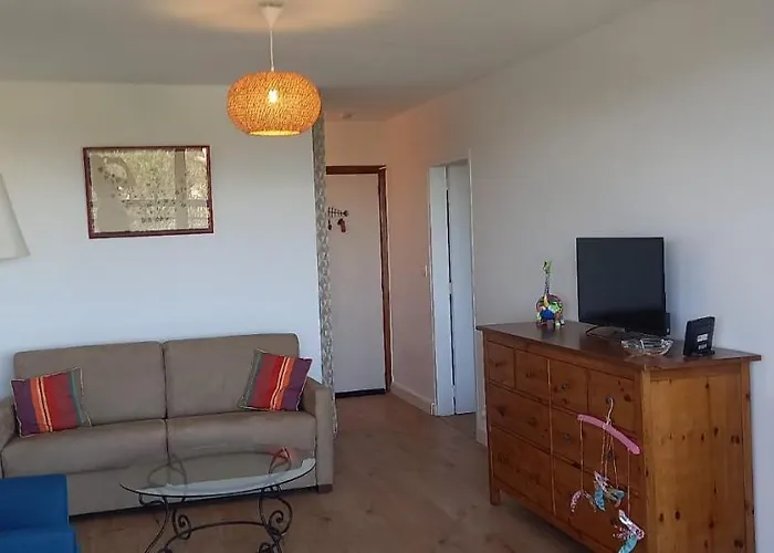 T3 Vue Sur Mer, Renove A Neuf, 4 A 6 Pers,65 M2-500 M De La